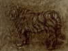 Charles David Viera 3