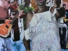 3_Havana-La-Cantora_2019