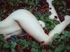 laid to rest (11x17)_preview