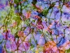 Spring Abstract