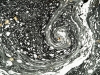 Dakin_Roy_Untitled10_15x20 Dakin_Roy_Untitled10_15x20