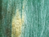 Dakin_Roy_Untitled4_16x24-scaled