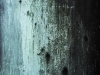 Dakin_Roy_Untitled5_16x24 Dakin_Roy_Untitled5_16x24