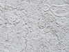 Dakin_Roy_Untitled9_10x15 Dakin_Roy_Untitled9_10x15