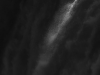 1_DanielleAusten_LightCatcher