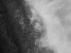 5_DanielleAusten_Lucency