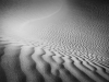 Danielle_Austen_DuneWaves1