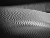 Danielle_Austen_DuneWaves2