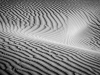 Danielle_Austen_DuneWaves4