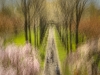 Brooklyn Botanical Gardens