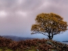 Loch Torridon, Wester Ross, Scotland Loch Torridon, Wester Ross, Scotland