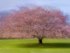 Spring_I1A3672_DavidDesRochers-scaled