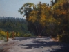 Thedinga, Napa Vineyard_preview