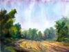 safe-harbor3-copy-2