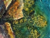 waters_Edge_copy