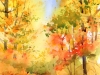 20_Autumn-Road 20_Autumn-Road