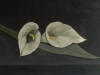 Calla Lilies painting-2