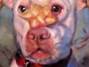 siclare-things-dogs-do-3-09-7x5-oil