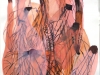 Pressed Poppy petals 2009