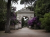 10.-Edward-Volpe-Arco-di-Settimio-Severo-Rome-Italy-Still-Photography-scaled
