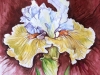 Iris-Elza-Artamontzeva