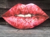 Lips