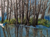 05.-The-World-Without-Us_GHOST-OF-A-CHANCE-Louisiana-Bayou-1-scaled