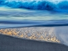 Abstract-Shorebeak