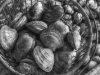 Clams at Baymen's Seafood in New Gretna, NJ
