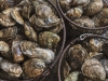 Oysters From Maxwell Shellfish