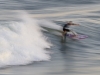 Hurricane Lee caused large waves at Holgate Beach on Long Beach Island and surfers took advantage of the breakers.