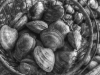 Clams at Baymen's Seafood in New Gretna, NJ
