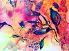 Wild-Garden-The-Heart-Yearns