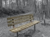 image-of-the-past-