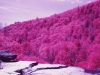 Pink Perspective_preview