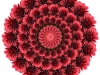 4-red-mum