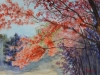 4.Glimps-of-Fall-color