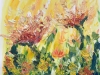 Daisies