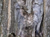 Whispered-Wisdom-scaled Whispered-Wisdom-scaled