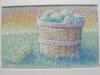 Bushel-Basket