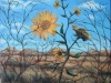 1-Desert_Helianthus-Joan_Sonnenfeld