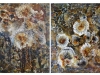 Browntide (diptych)