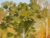 The-Old-Oak-2