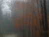 Autumn-Road-sColor-Space