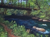 AssunpinkCreek3d