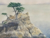 Cypress Point, watercolor, 21x17, John Wolff
