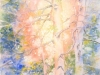 Hummer_J_sunset-beech