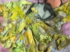 7-She-invented-yellow