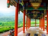 Yantai-Temple