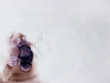Petri-2